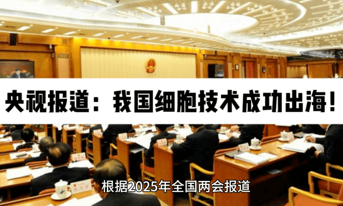 上海科学家团队建立干细胞类胚胎模型，揭示灵长类胚胎发育“神秘时刻”